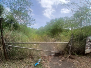 casas en venta o alquiler en Coamo