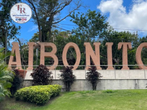 casas en venta o alquiler en Aibonito