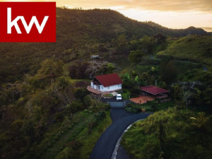casas en venta o alquiler en Cidra