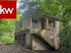 casas en venta o alquiler en Ciales