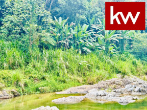casas en venta o alquiler en Utuado