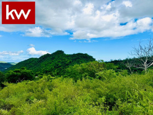 casas en venta o alquiler en Sabana Grande