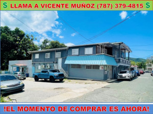 casas en venta o alquiler en Peñuelas