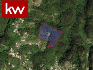 casas en venta o alquiler en Morovis