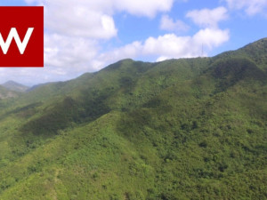 casas en venta o alquiler en Salinas