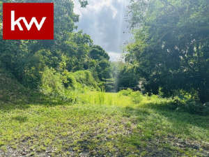casas en venta o alquiler en Bayamón
