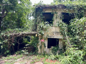 casas en venta o alquiler en Mayagüez