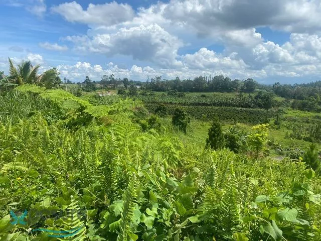 Barrio Quebradillas
