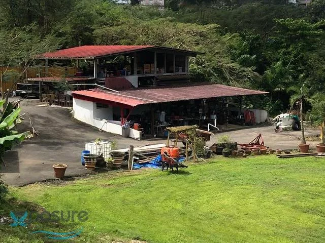 Foto 10
