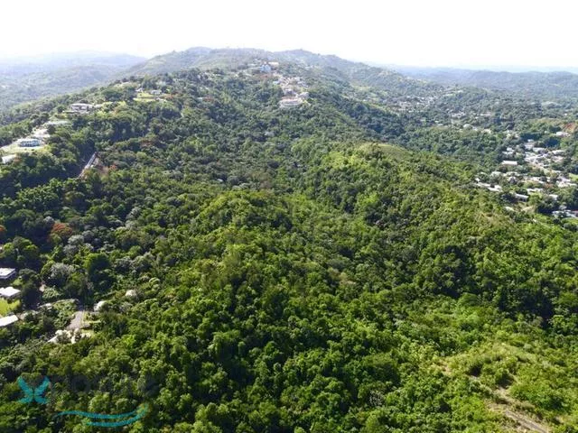 Barrio Quebrada Grande