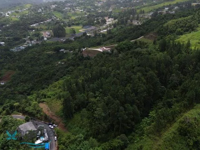 Barrio Orocovis