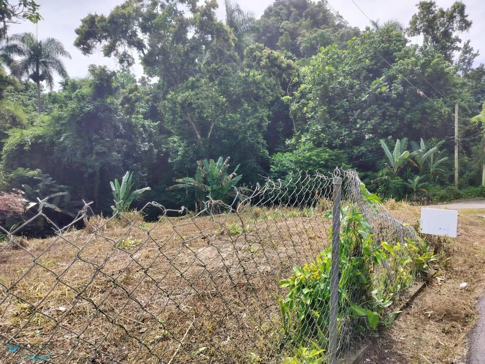 Barrio Coquanos