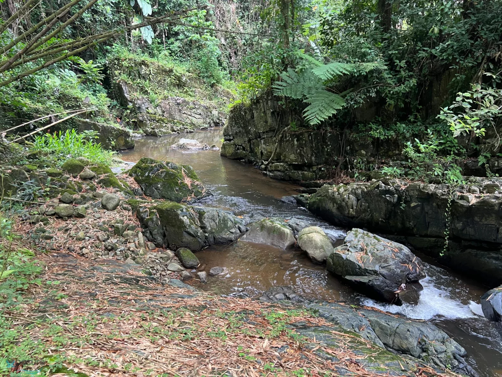 Foto 5