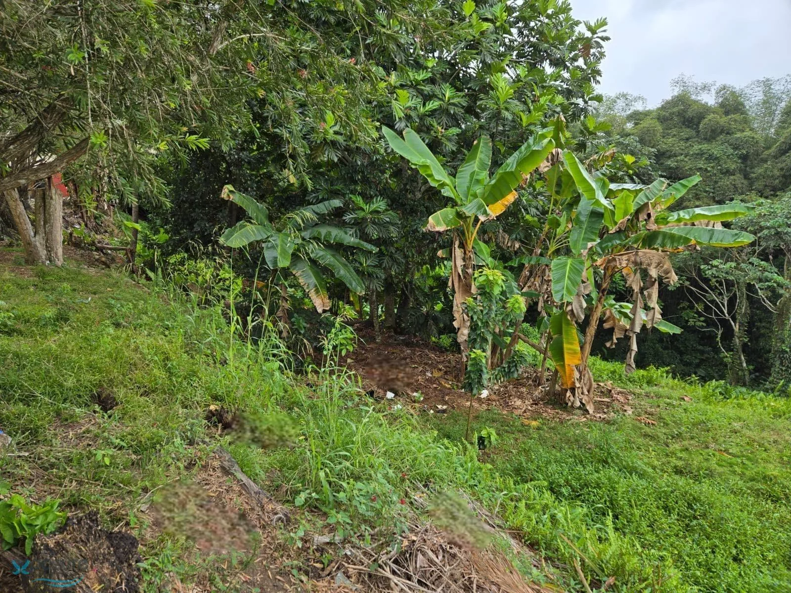 Barrio Angeles, poblado