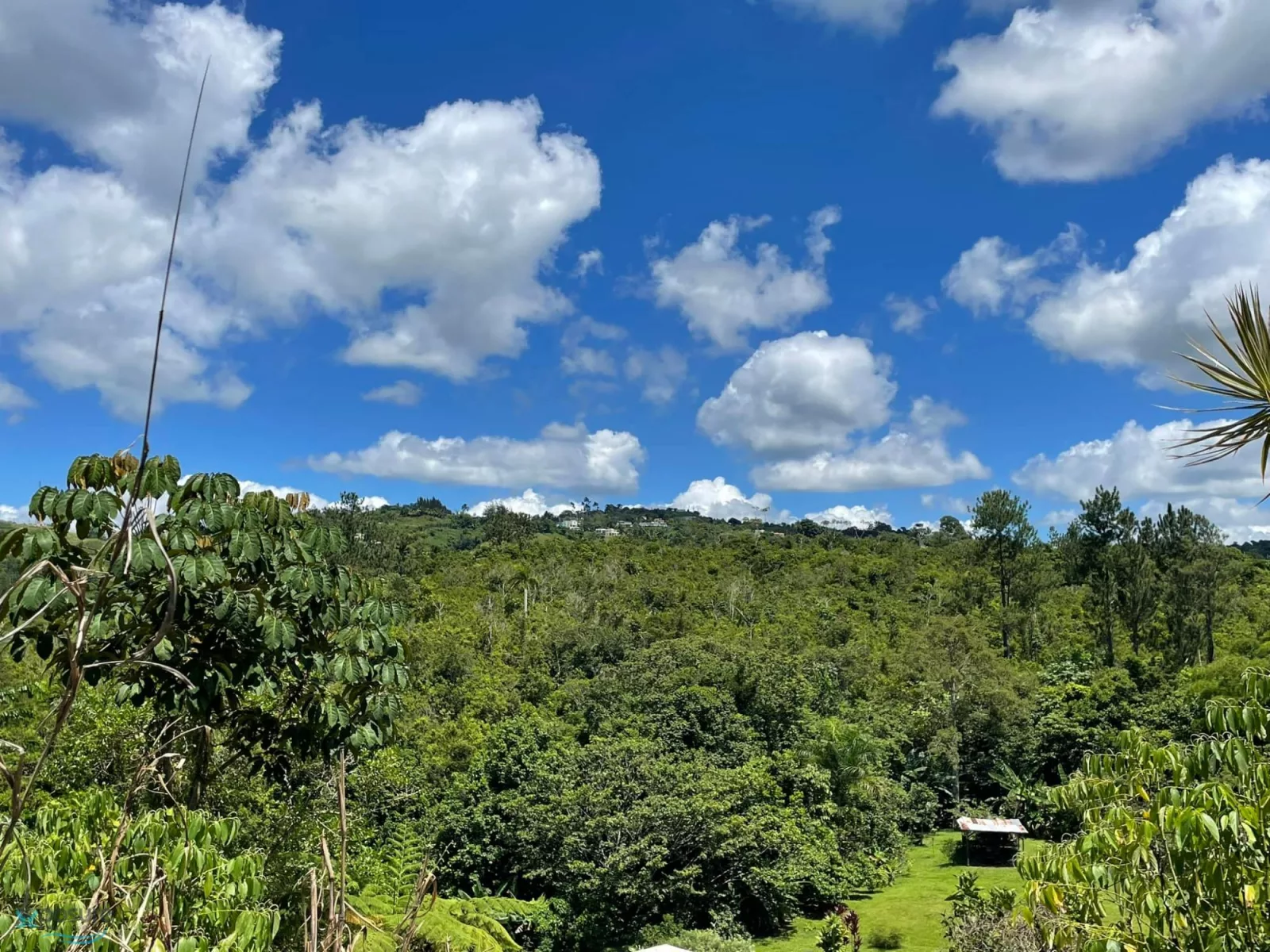 Barrio Bromelia