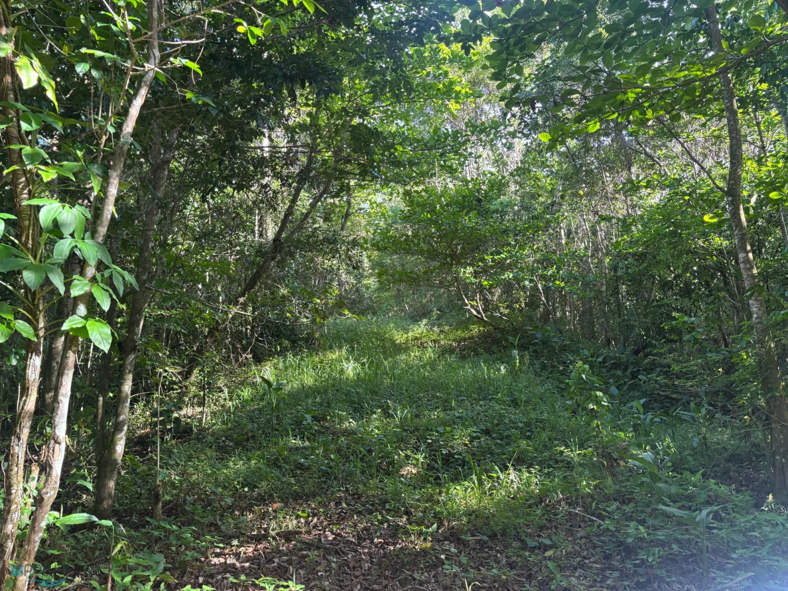 Foto 10