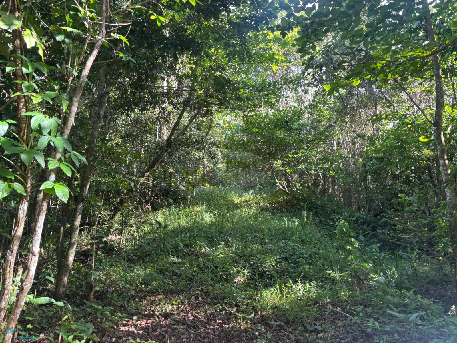 Foto 11