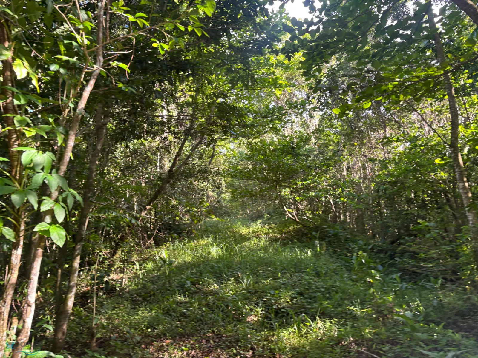 Foto 13