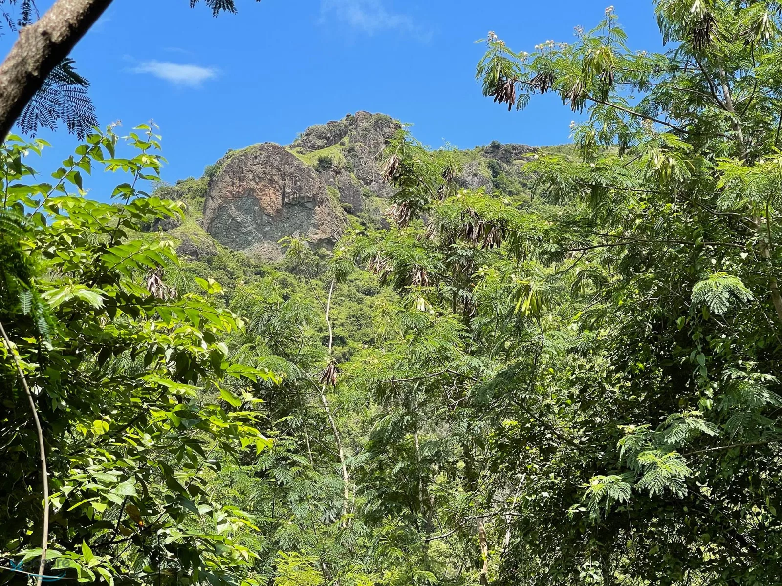 Foto 6