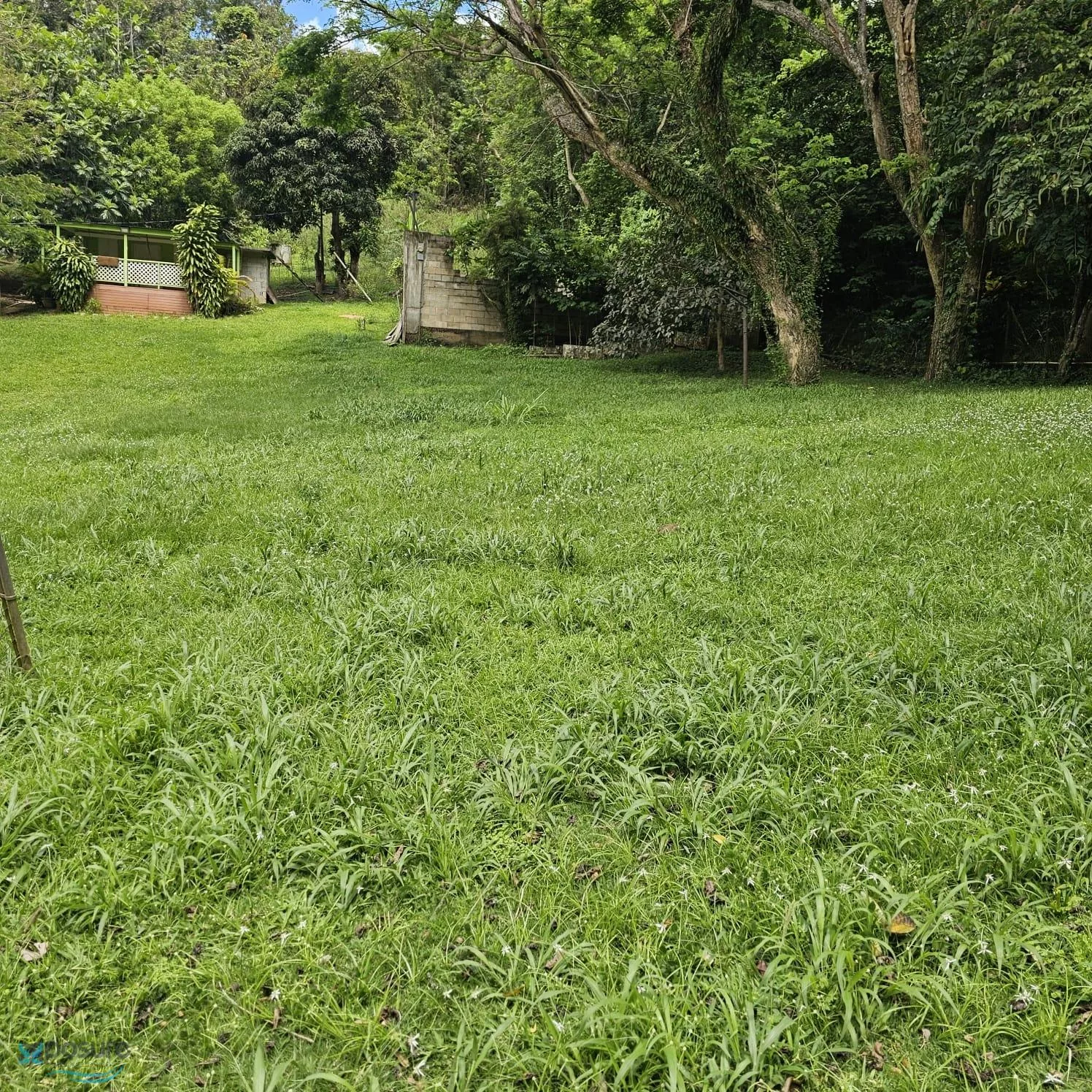 Foto 10