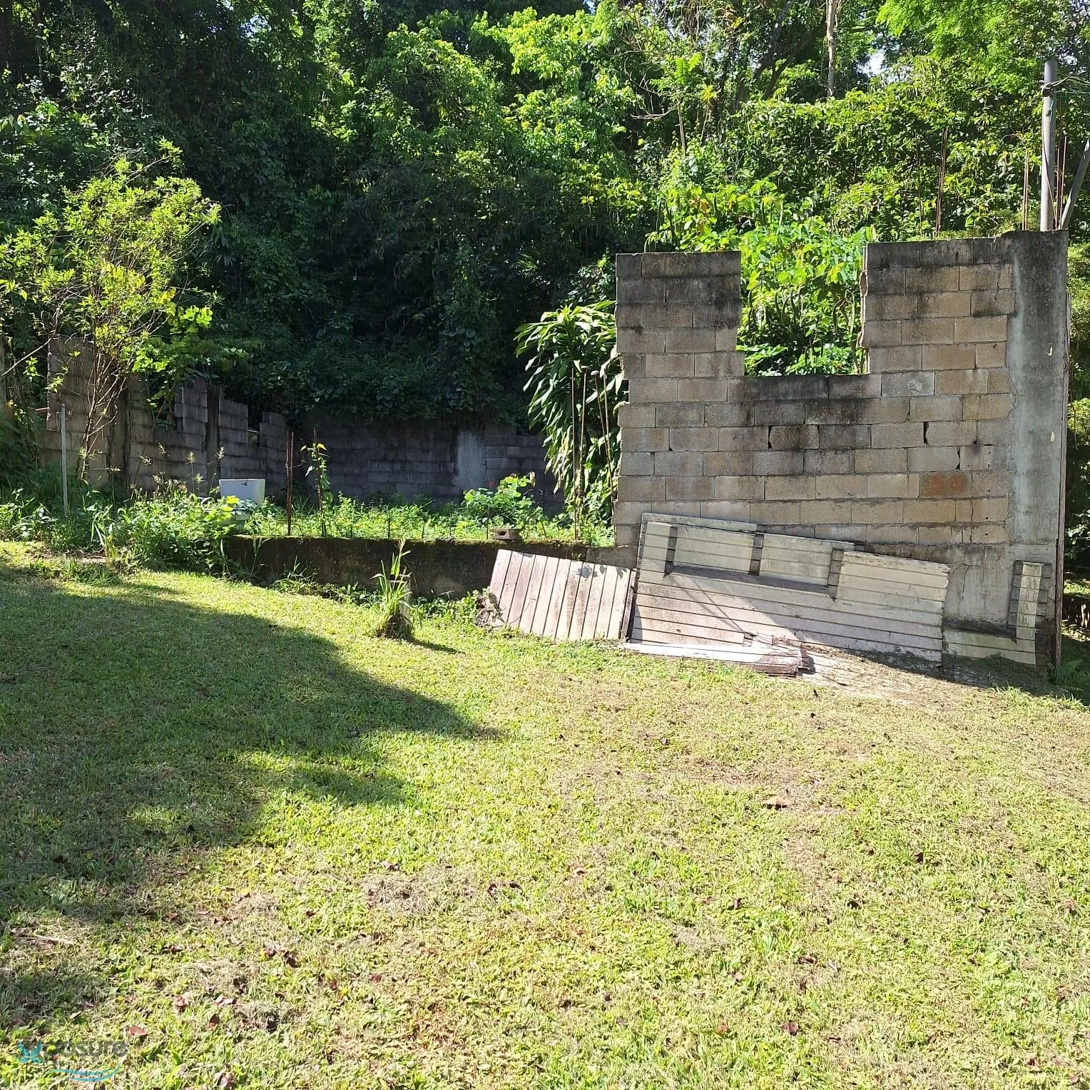 Foto 13