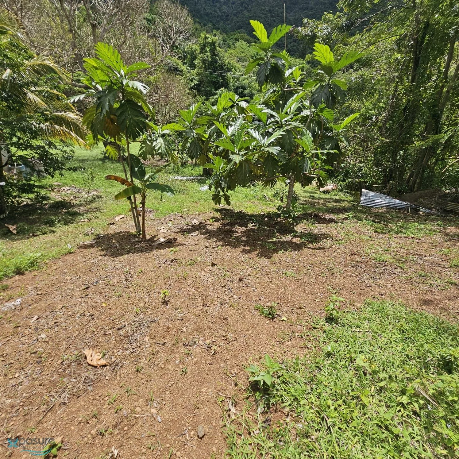 Foto 9