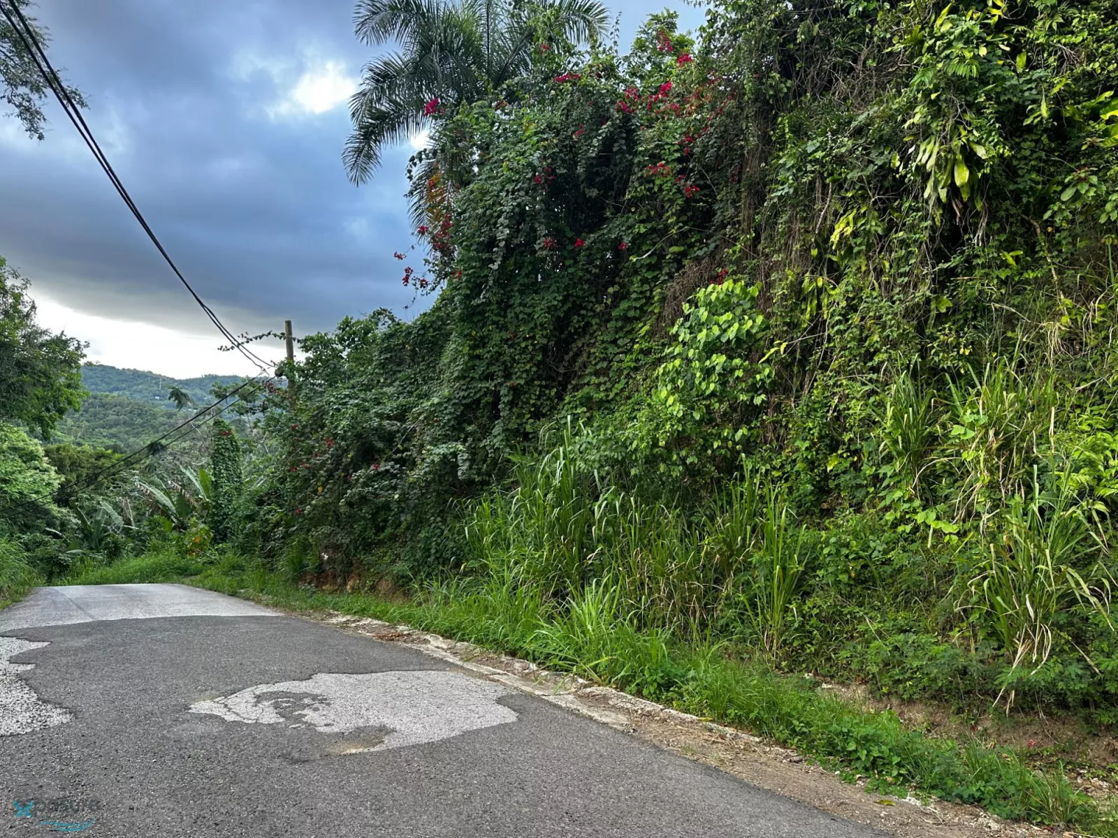 Barrio Lavadero