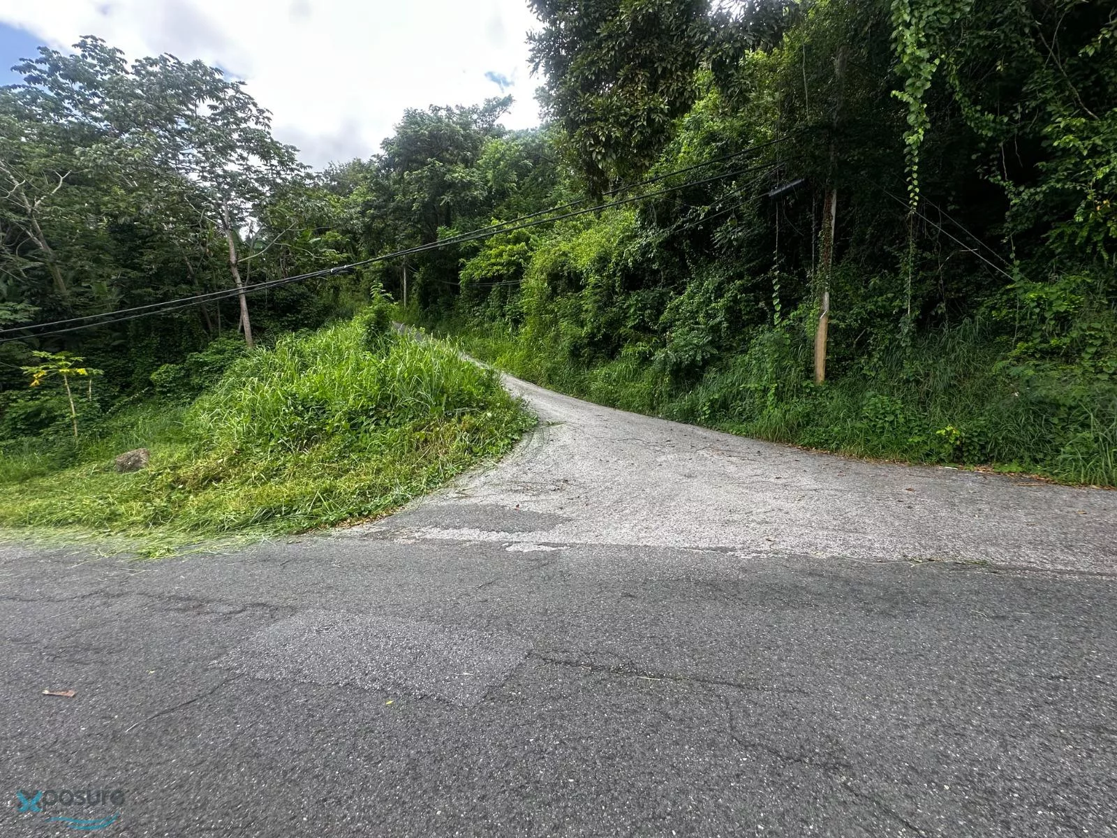 Barrio Jaguitas