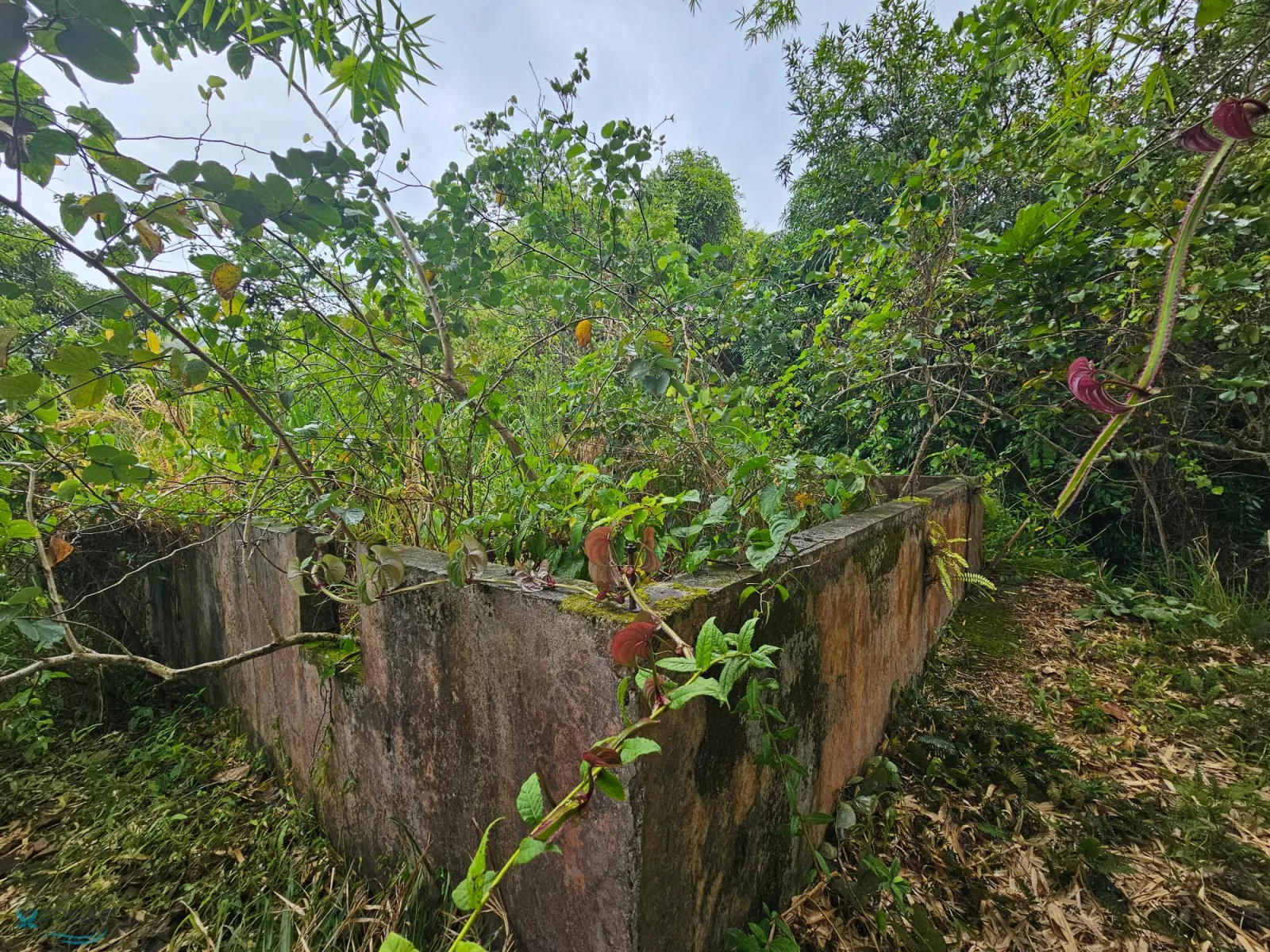 Foto 11