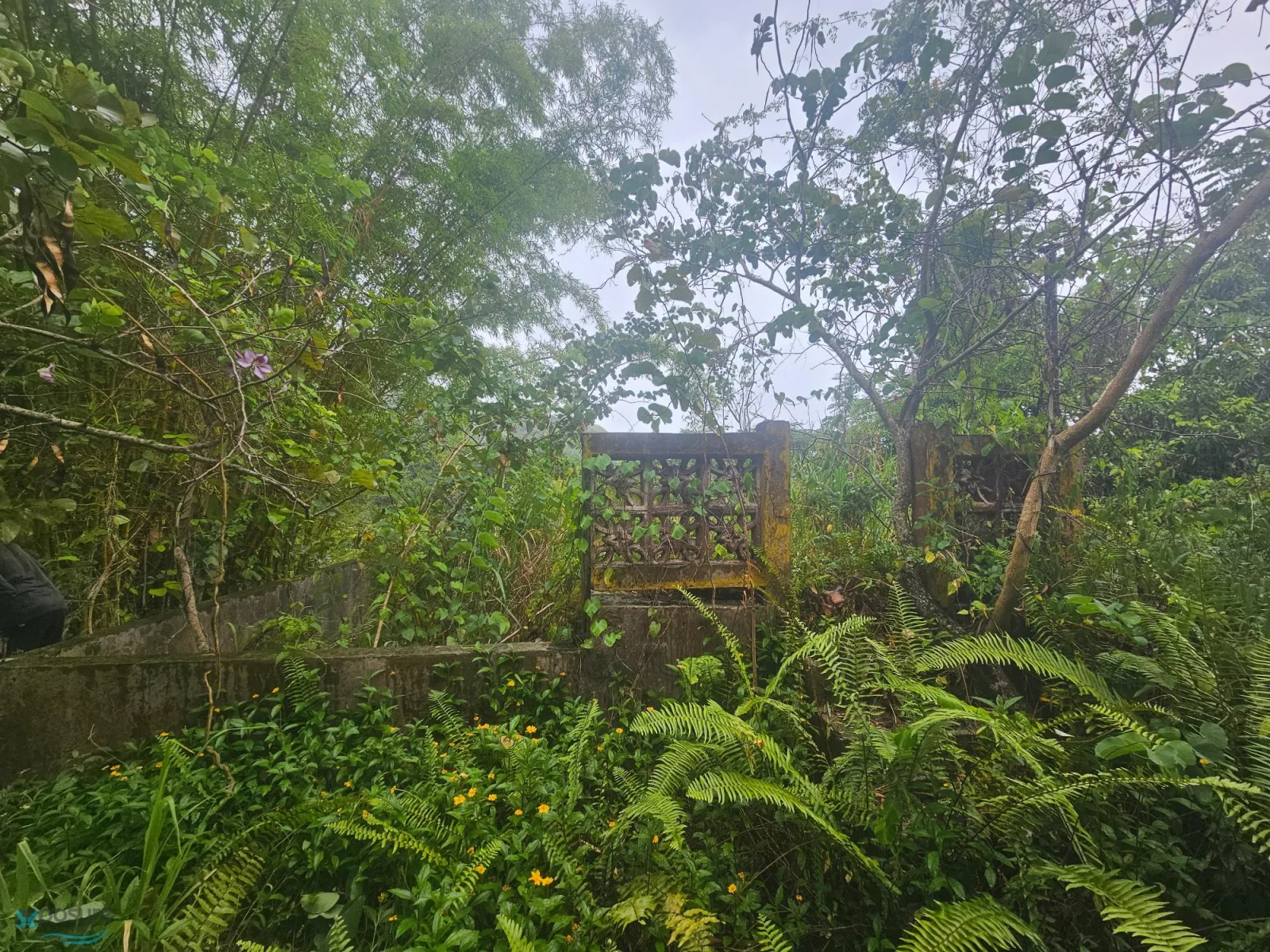Foto 12