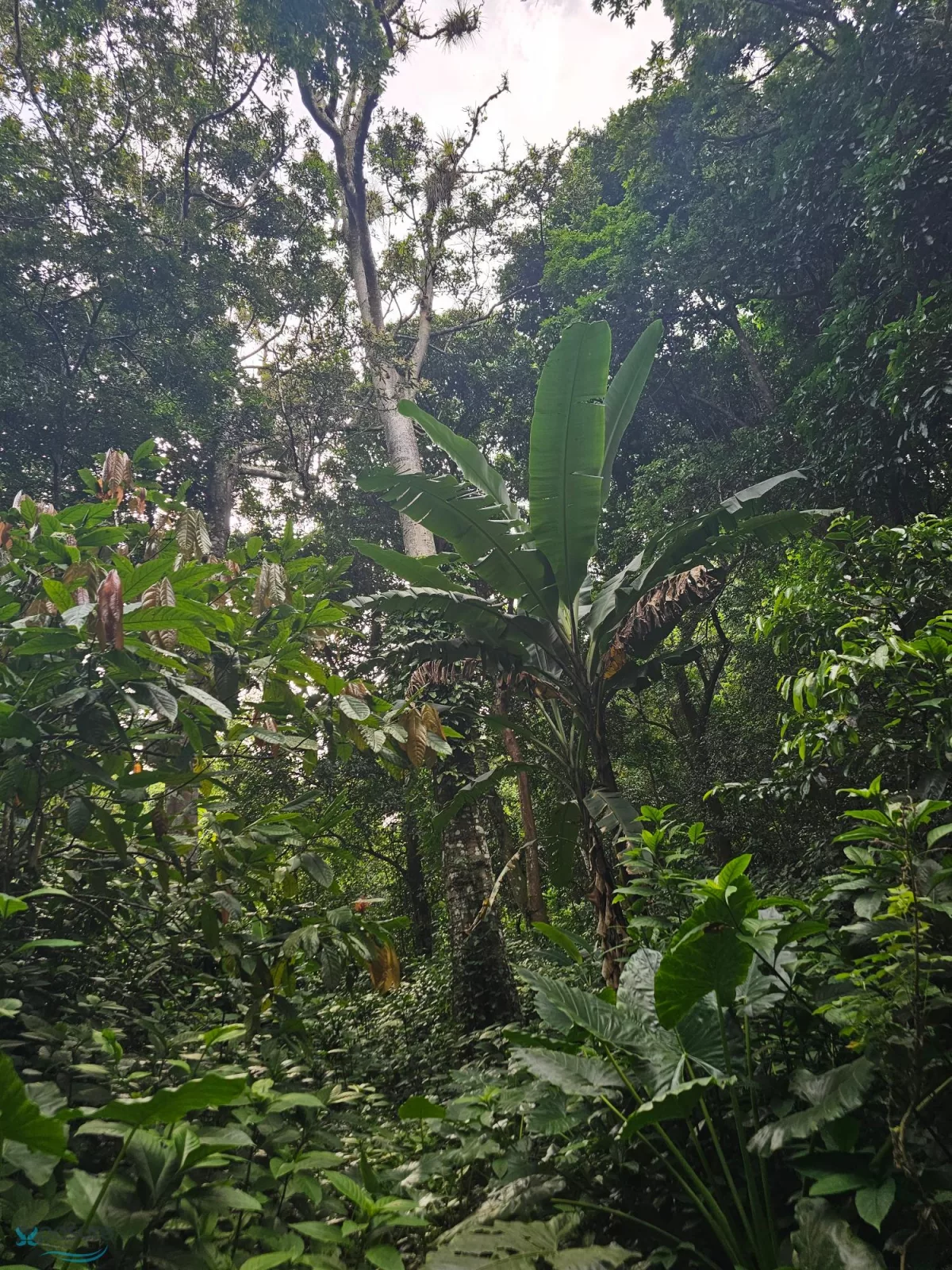 Foto 14