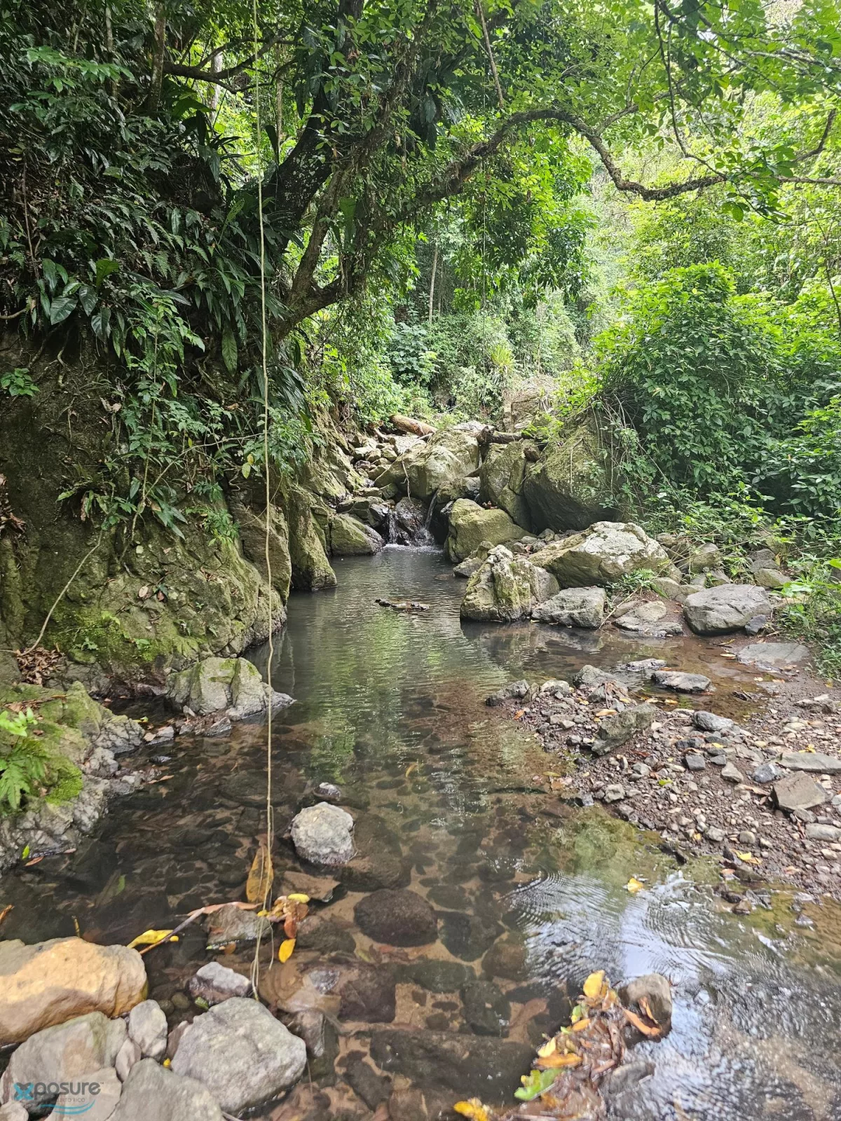Foto 15