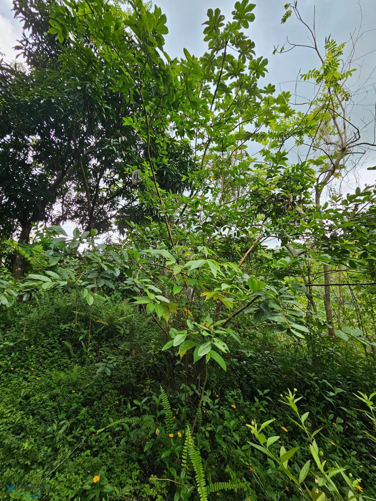Foto 7