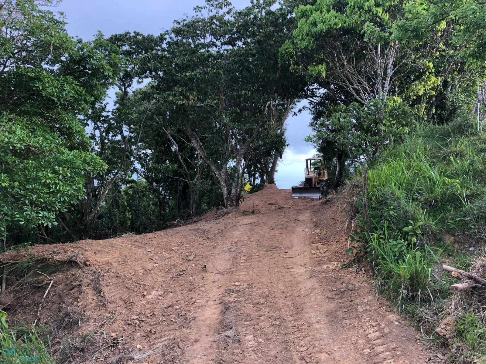 Foto 5