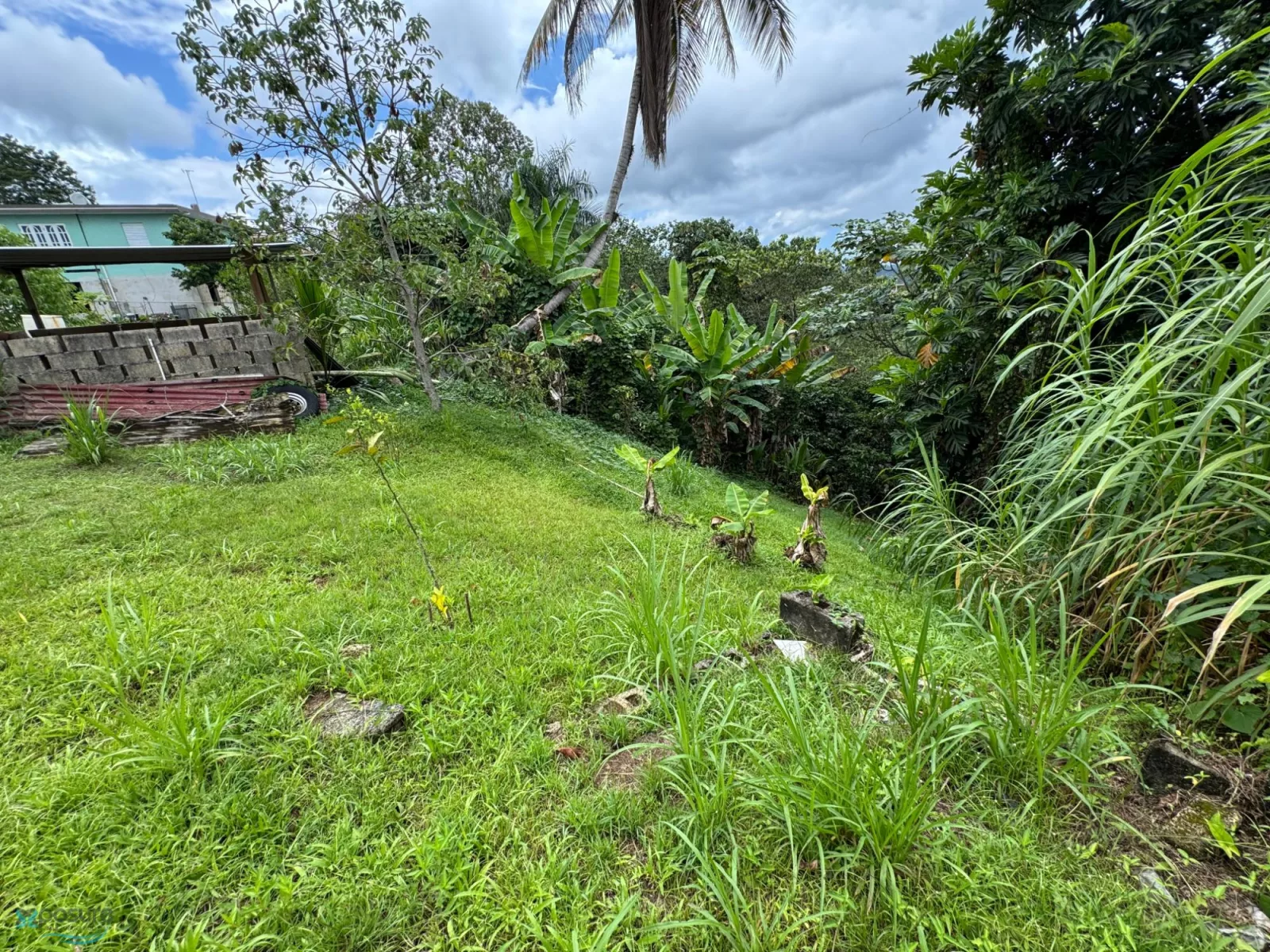 Foto 11