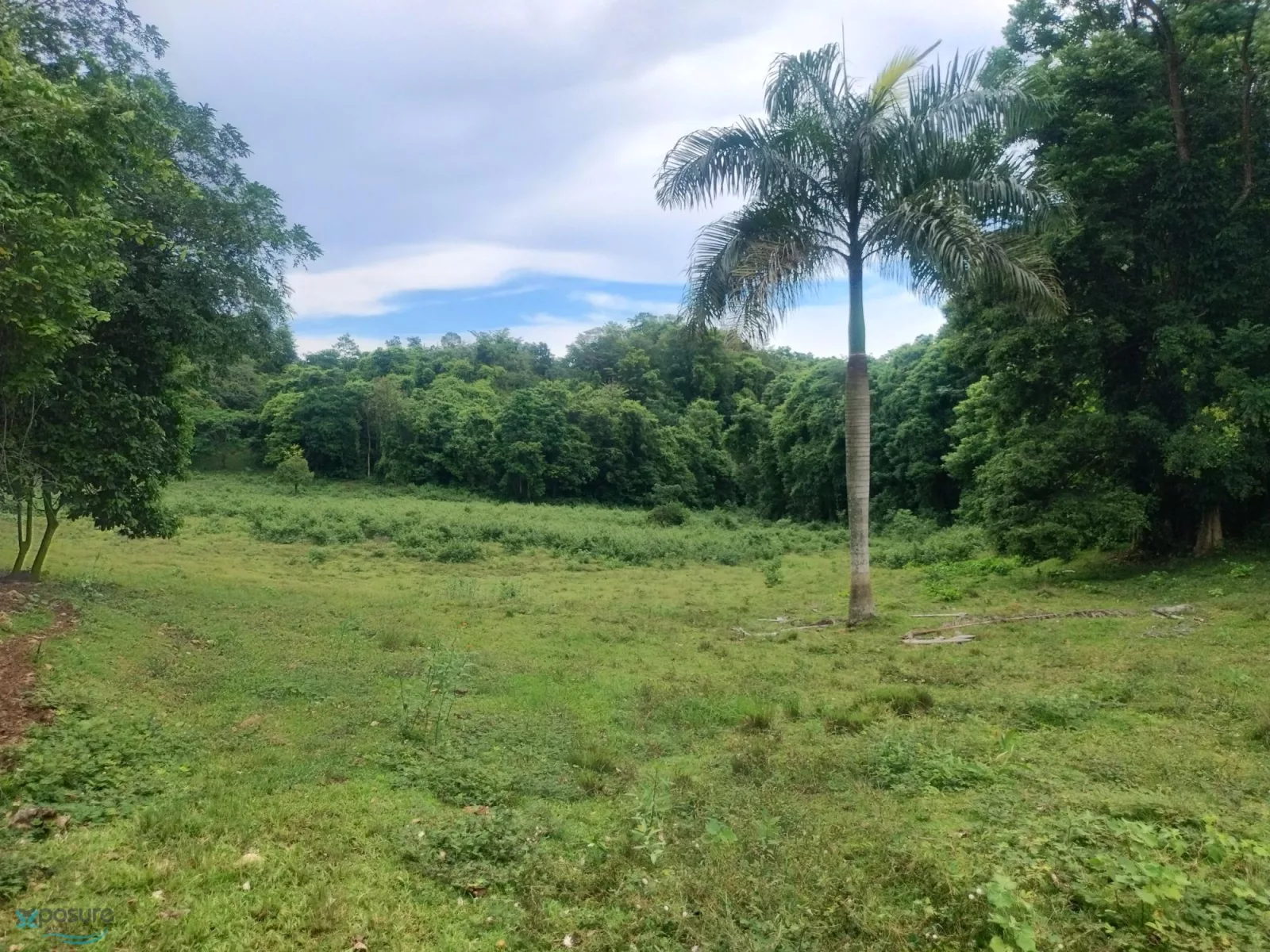 Foto 12