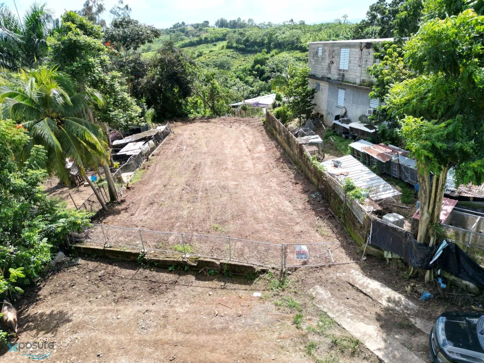 Foto 5