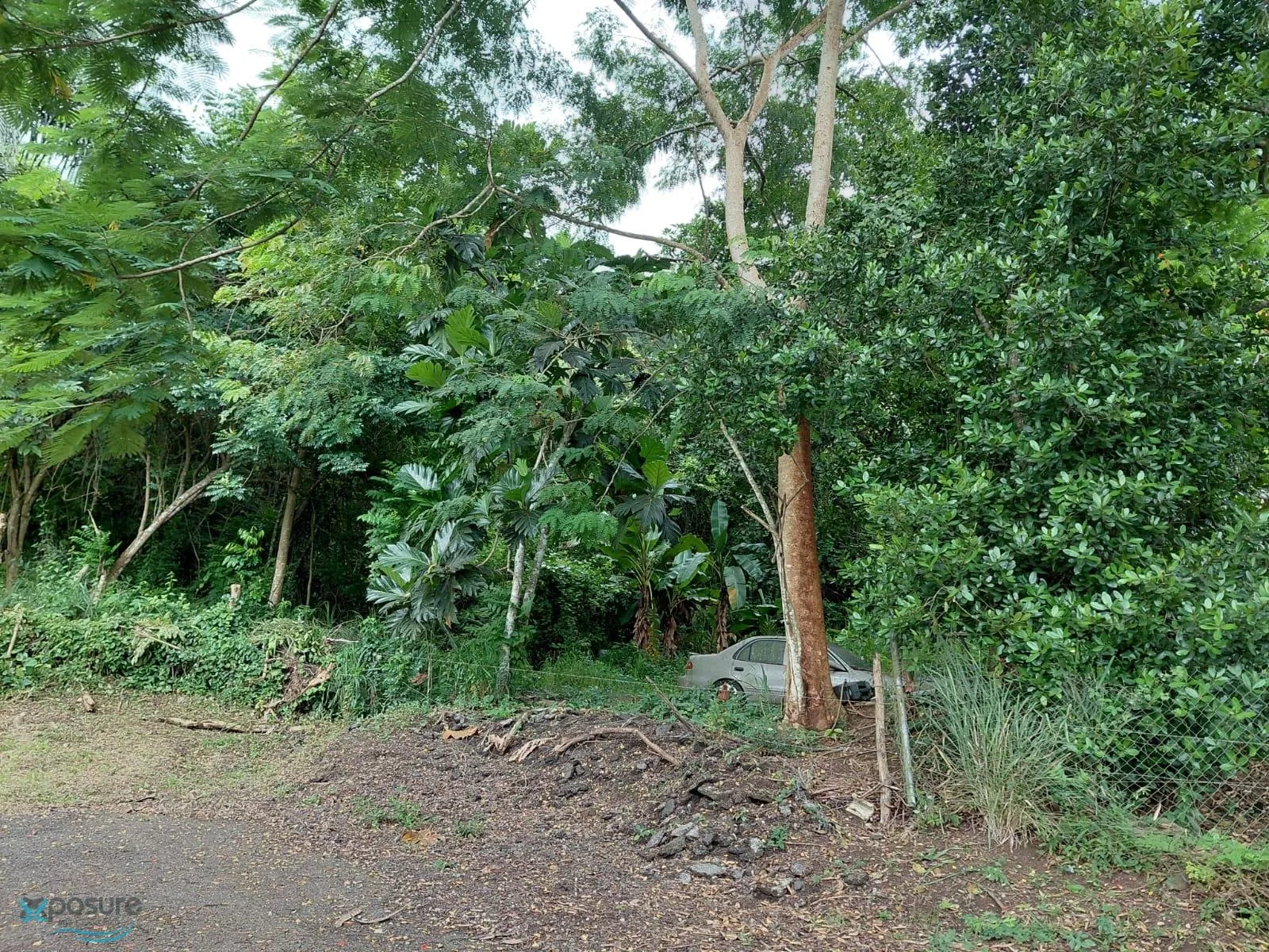 Foto 6