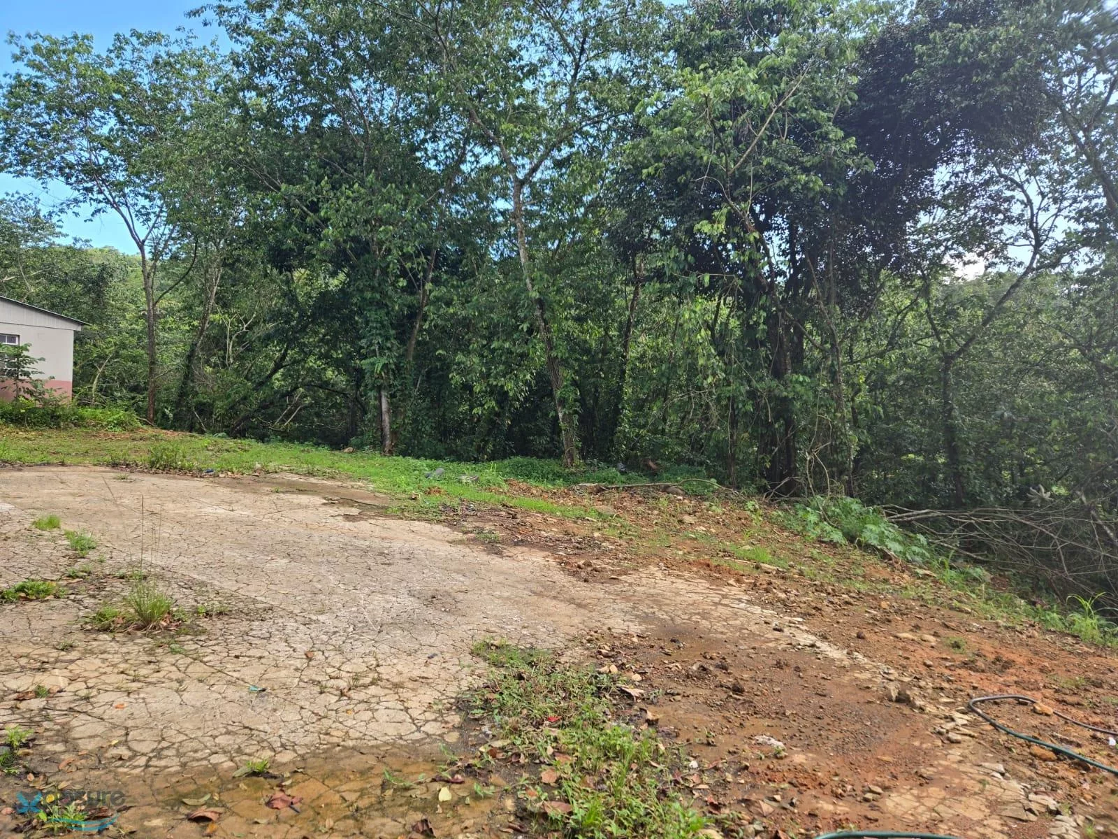 Foto 12