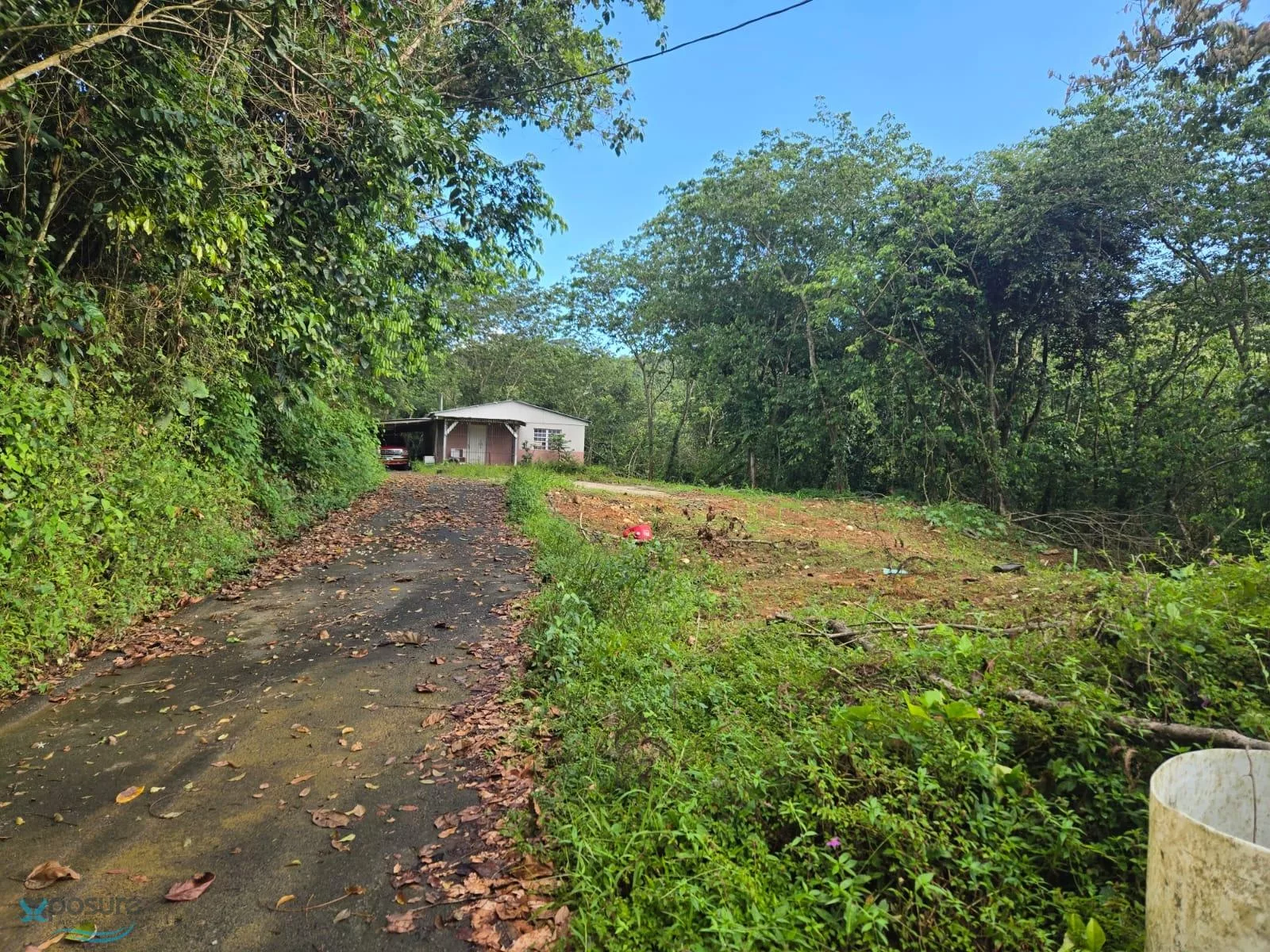 Foto 2