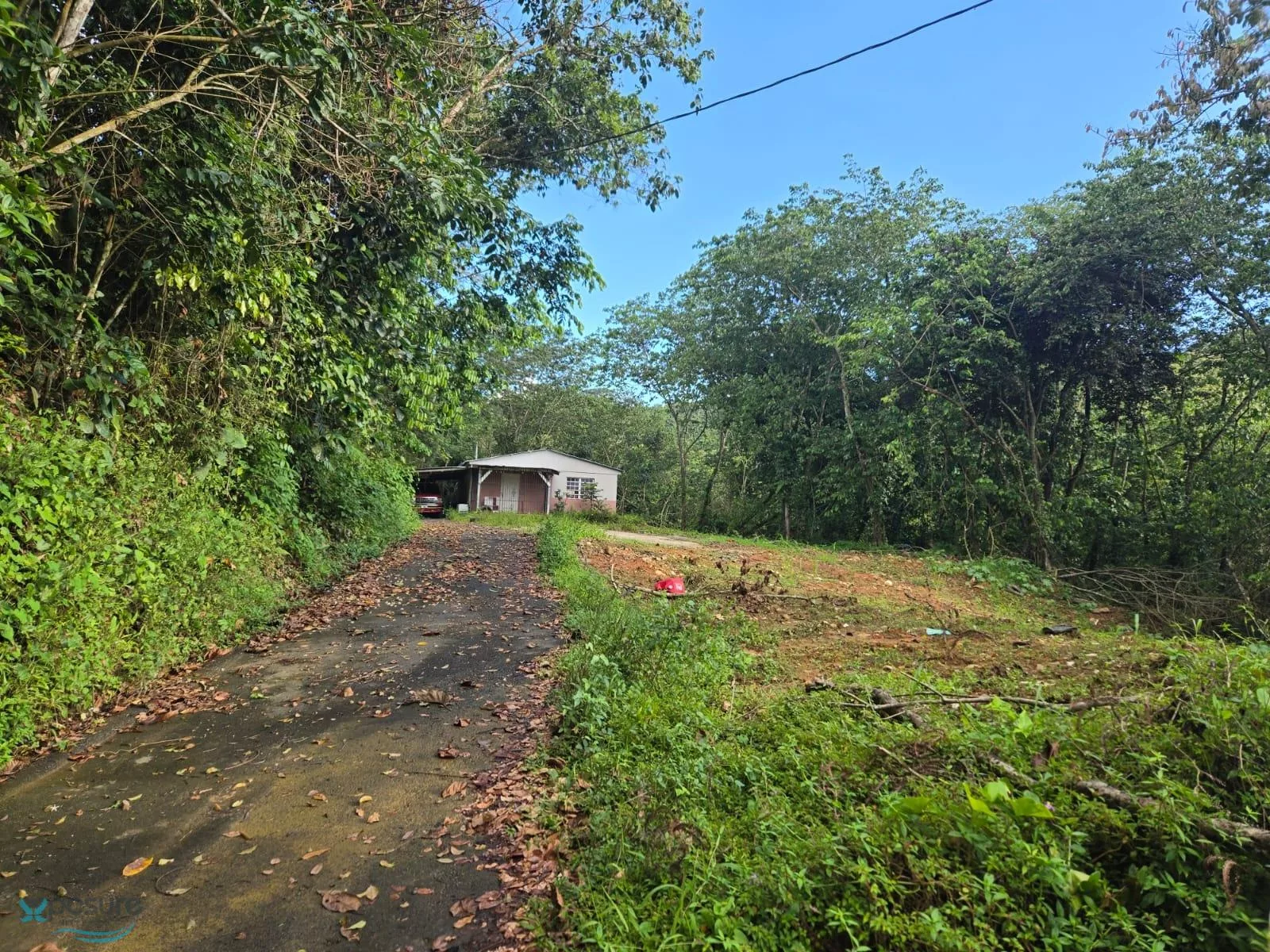 Foto 5