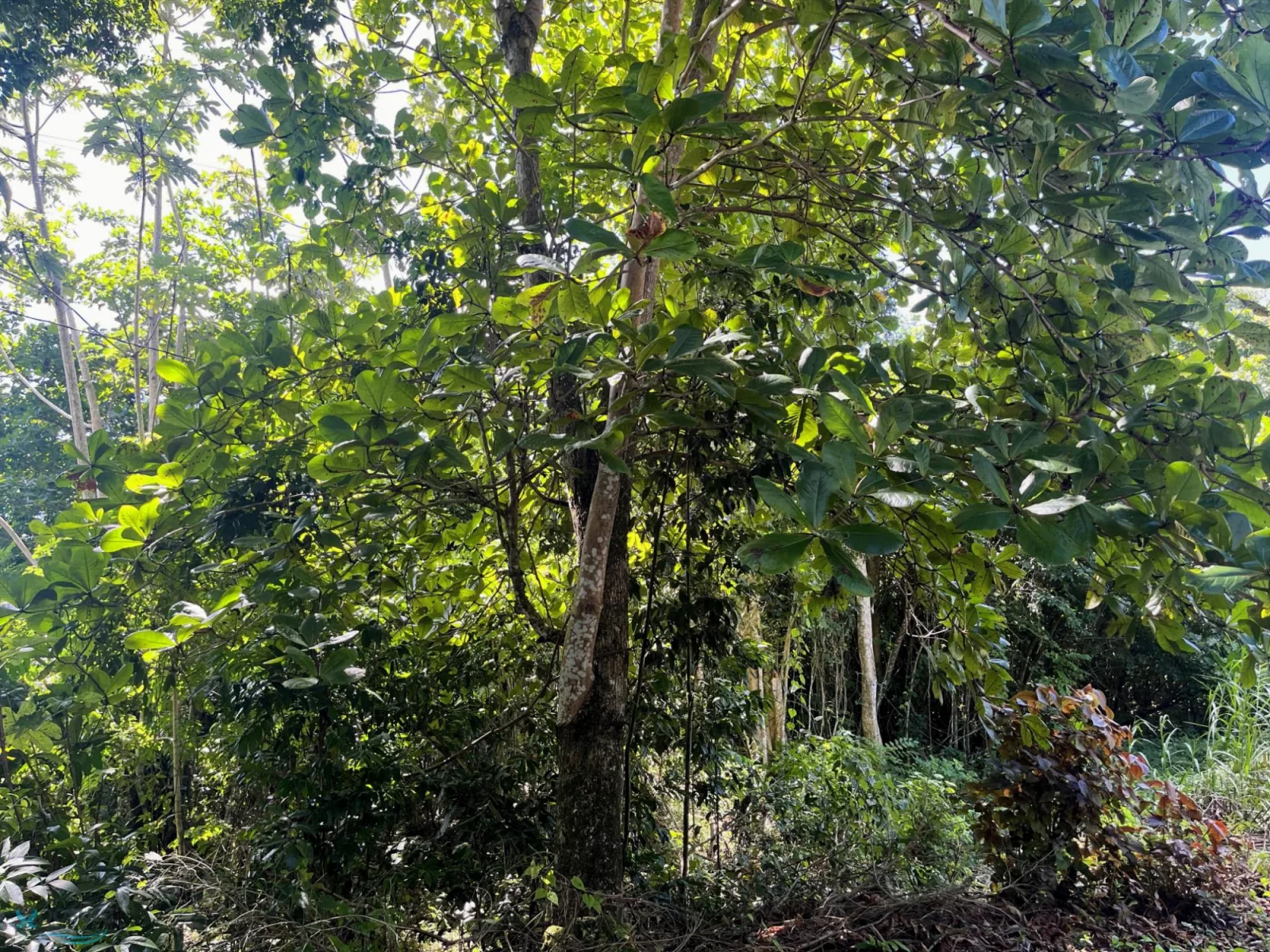 Foto 6
