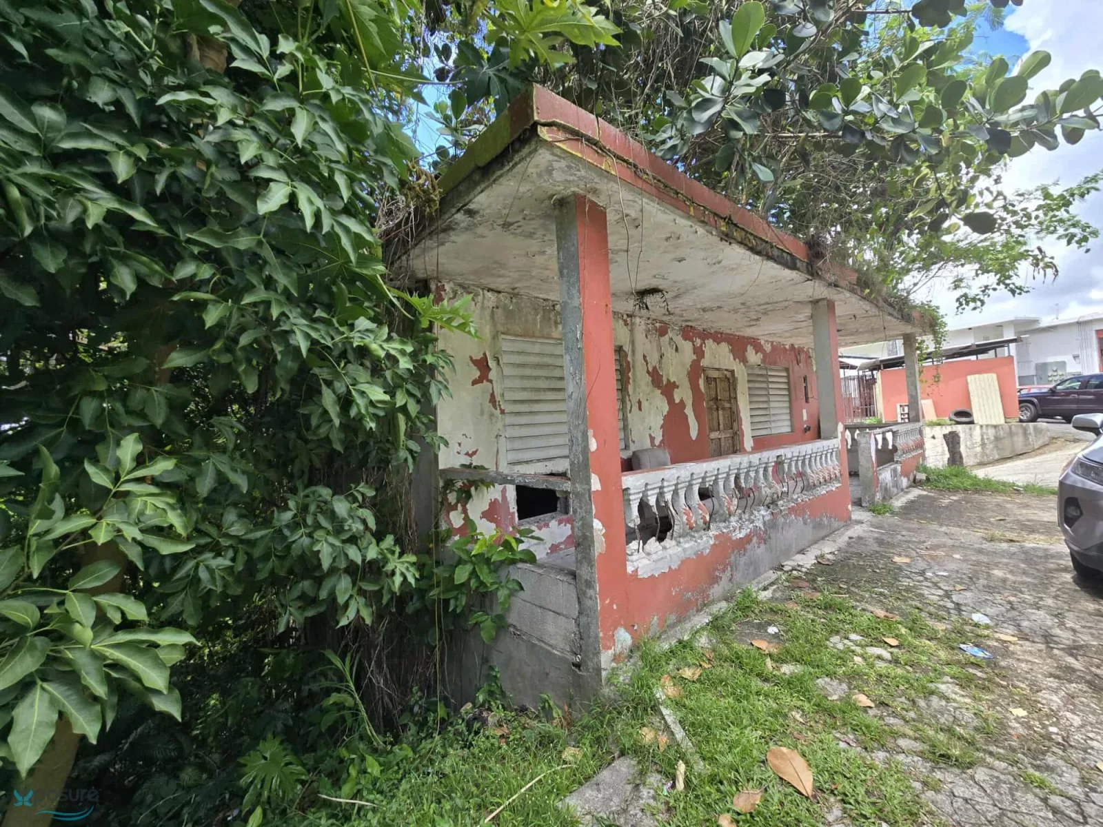 Foto 6