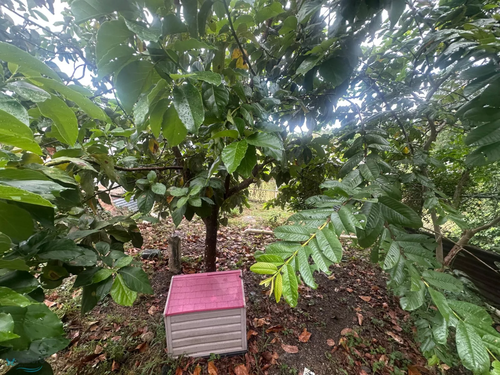 Foto 14
