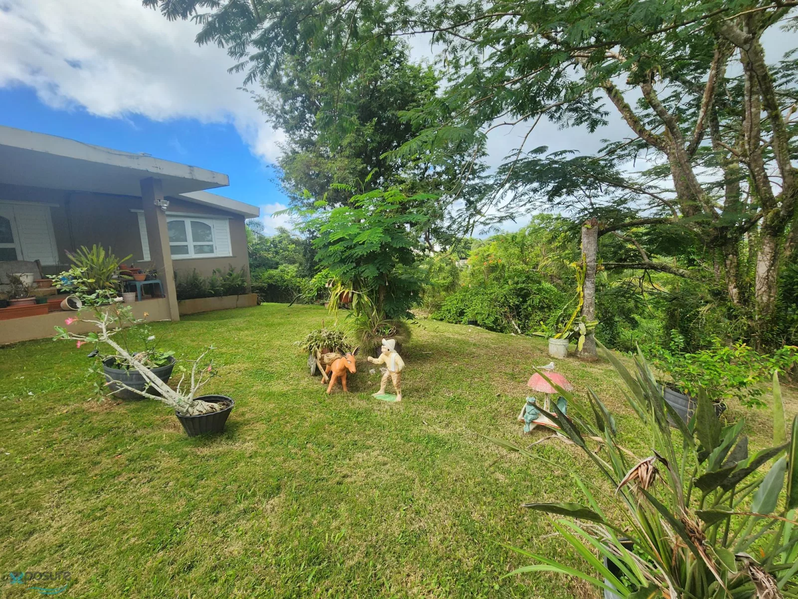 Foto 15