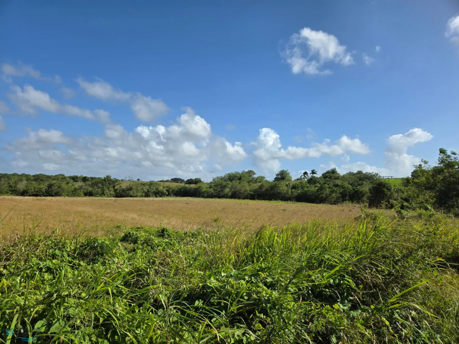 Barrio Aguacate venta en Aguadilla, PR
