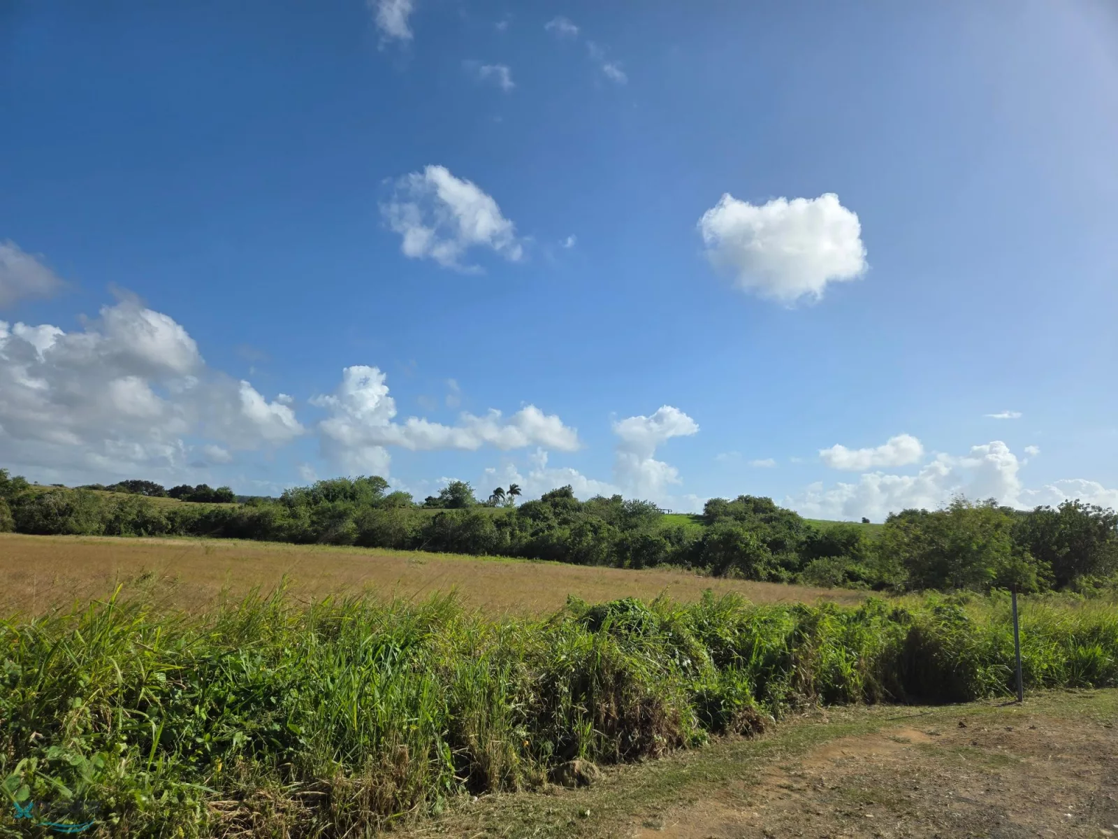 Barrio Aguacate venta en Aguadilla, PR