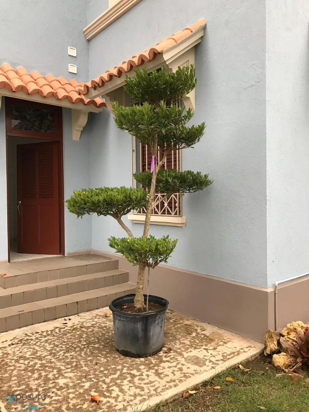 Foto 4
