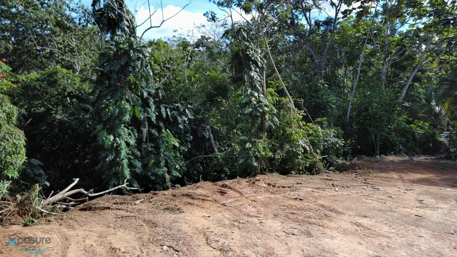 Foto 6