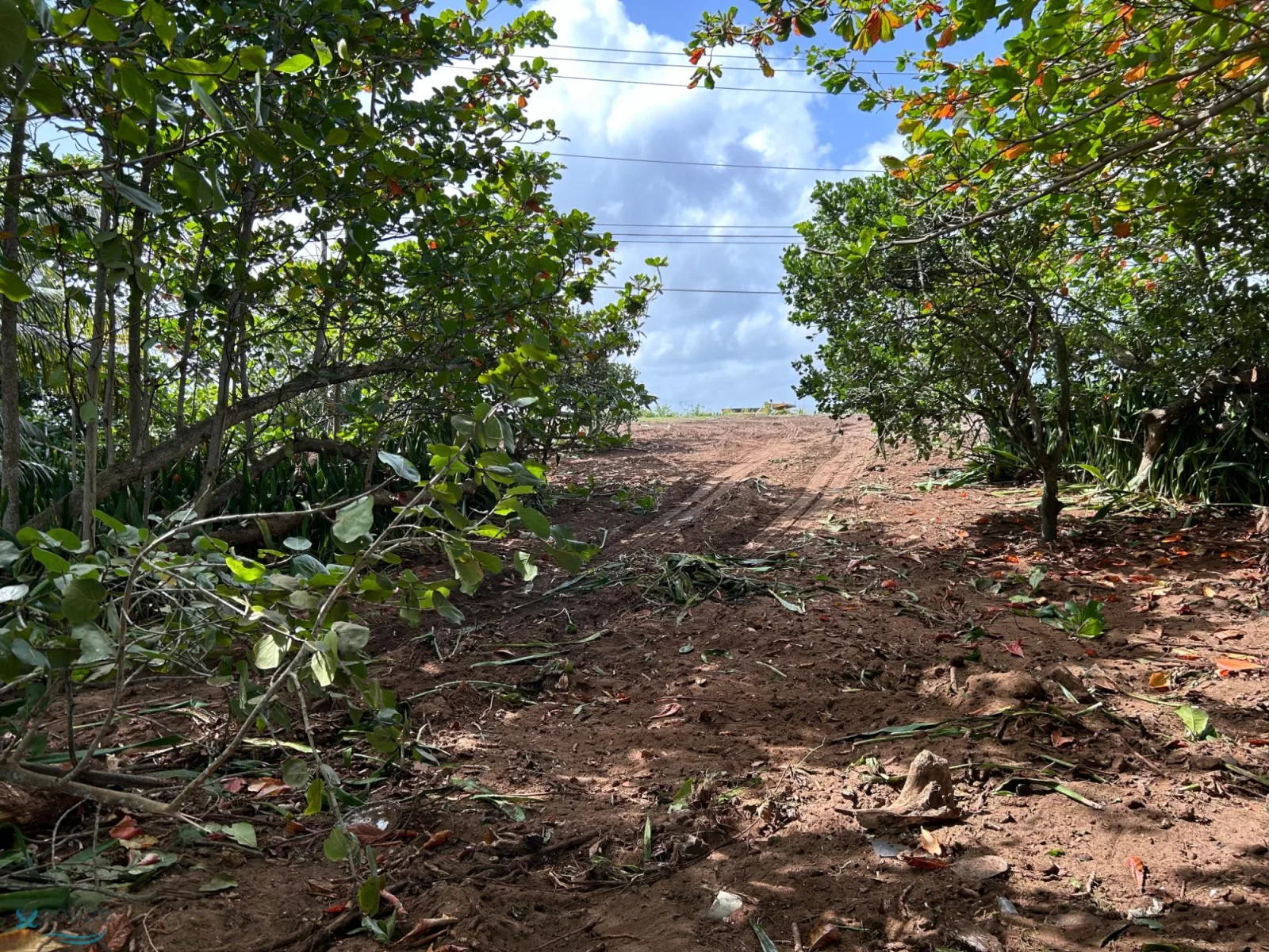 Foto 13